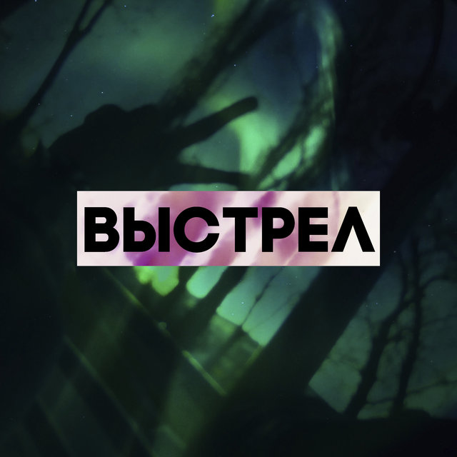 Выстрел