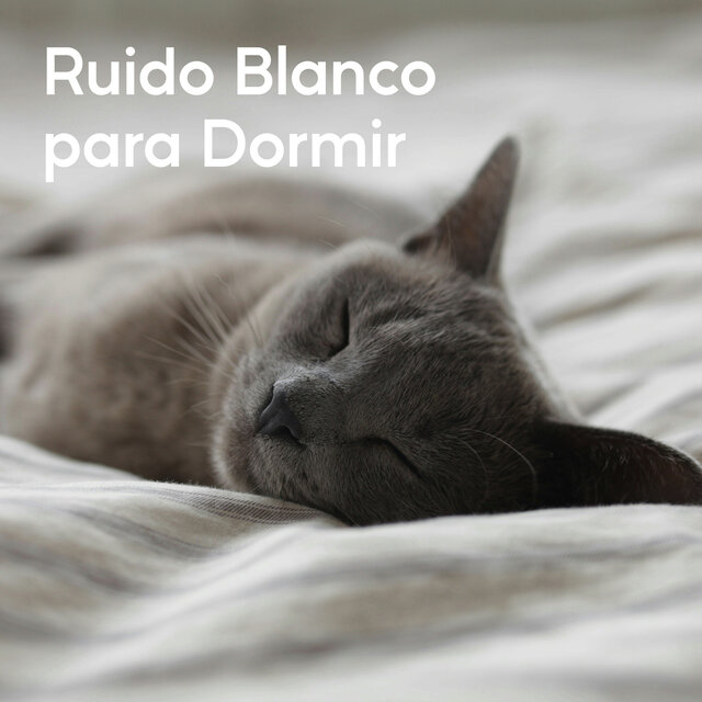 Ruido Blanco Para Dormir