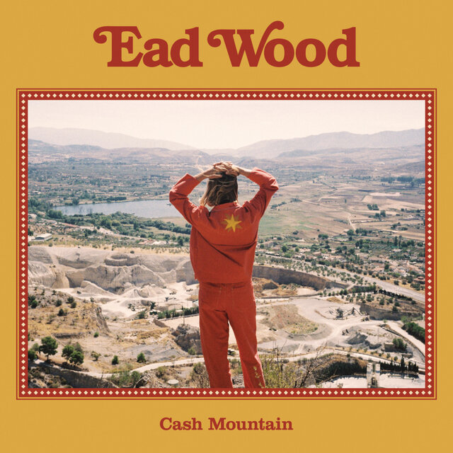Cash Mountain
