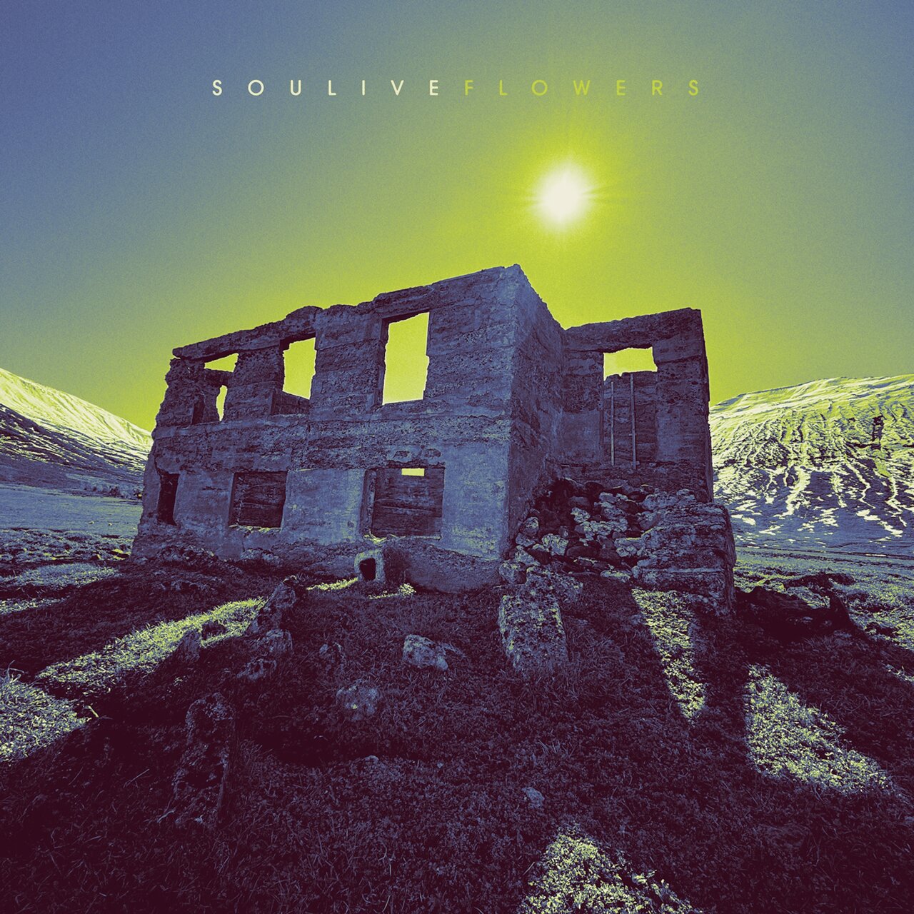 Flowers / Soulive - TIDAL