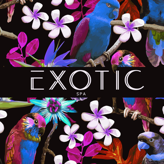 Exotic Spa: Aquatic Ambience with Animal ASMR