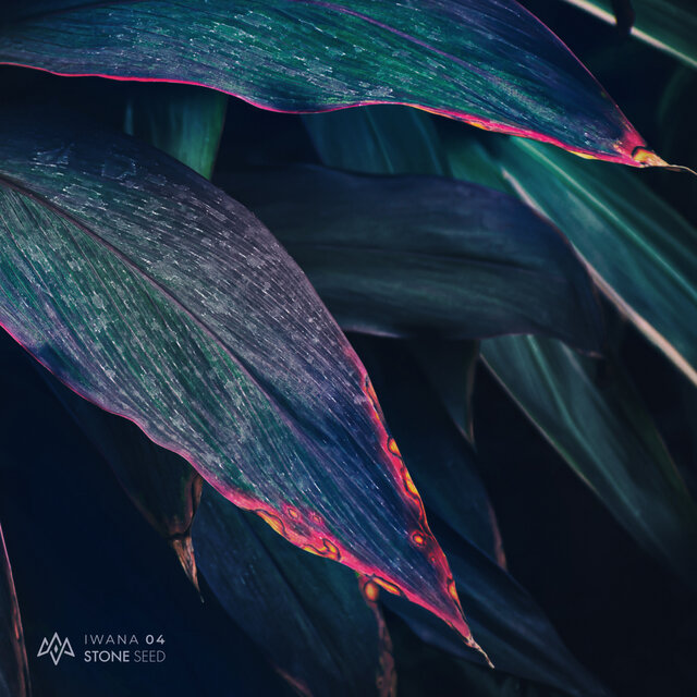 Vivid Void