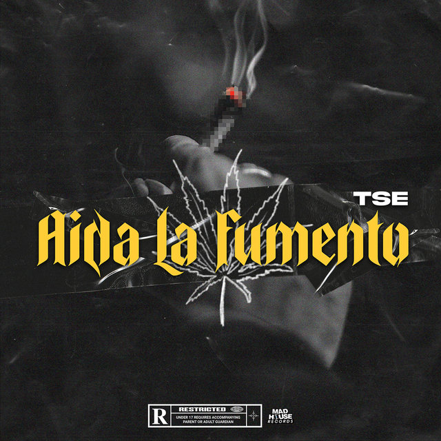 AIDA LA FUMENTO