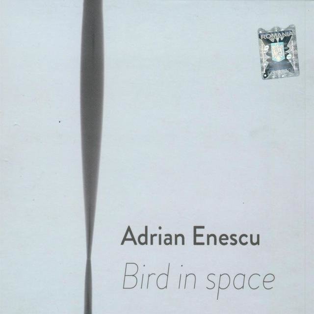 Bird in Space