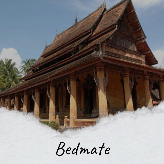 Bedmate