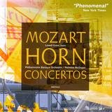 Concerto in E-Flat Major K. 417: II. Andante