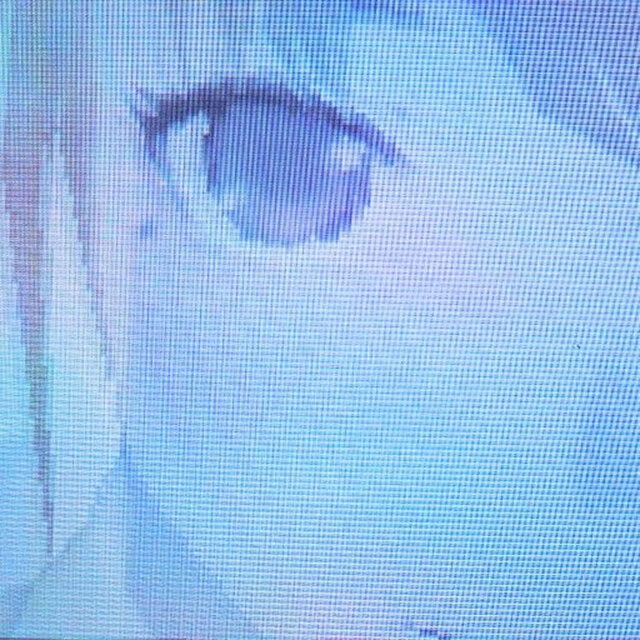 you