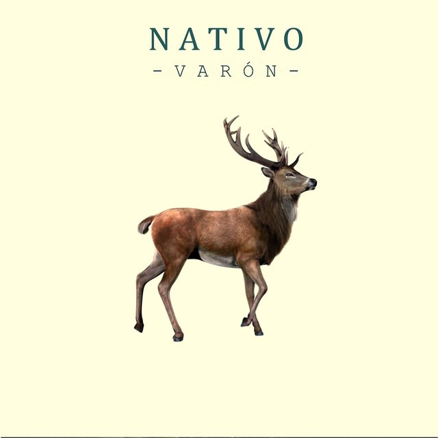 Nativo
