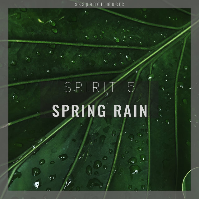Spring Rain
