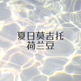 夏日莫吉托