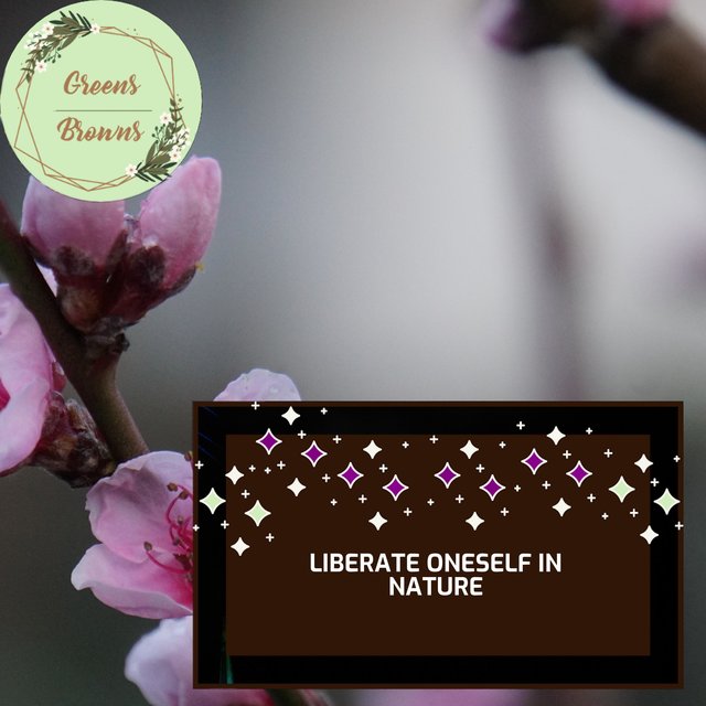 Liberate Oneself in Nature