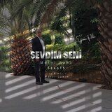 Sevdim Seni