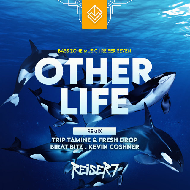 Other Life
