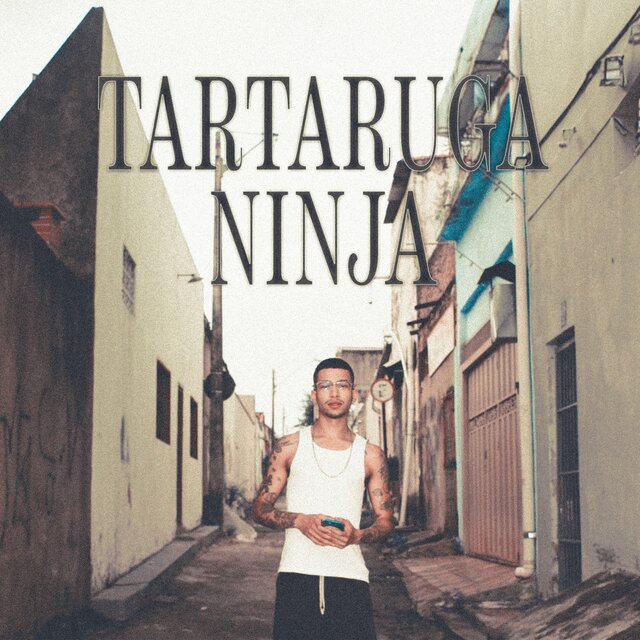 Tartaruga ninja