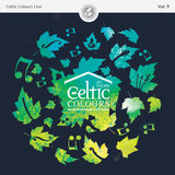 The Broomstick / Tonn Chliodhna / Man of the House / Matt Peoples' (Live)