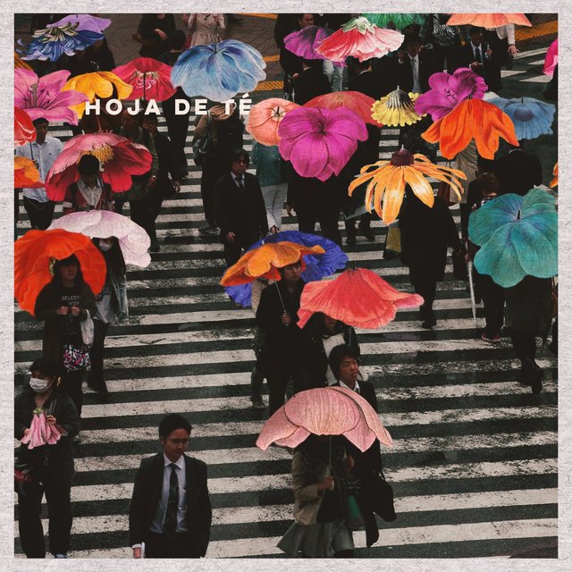 Hoja de Té