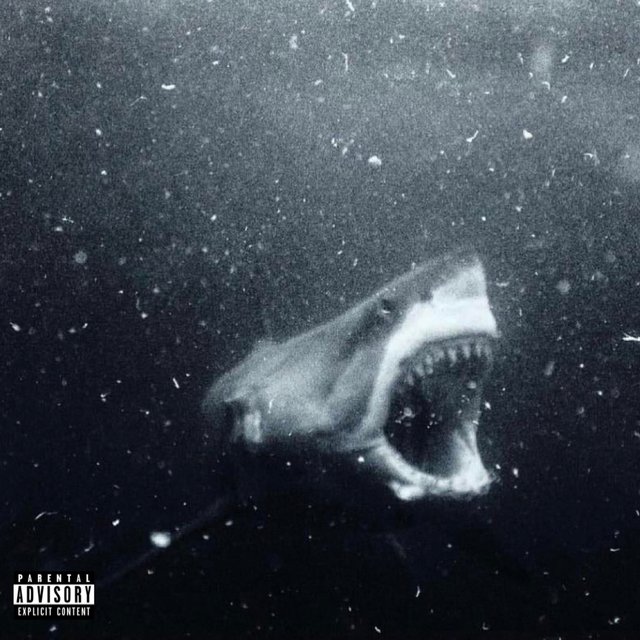 RIP Shark
