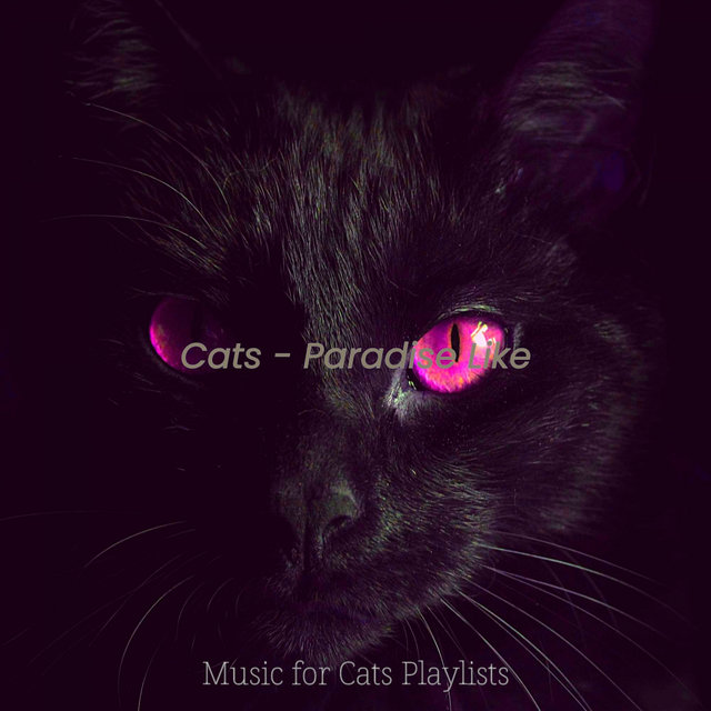 Cats - Paradise Like