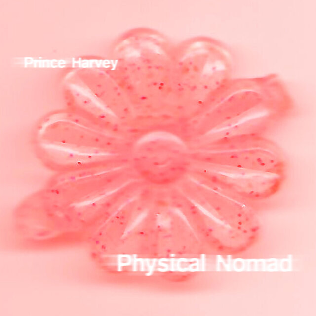 Physical Nomad