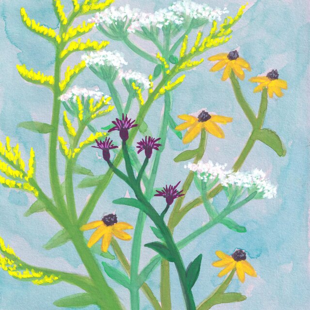 Autumn Flowers