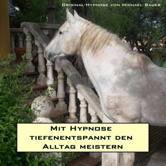 Mit Hypnose tiefenentspannt den Alltag meistern (Die Kraft des Unterbewusstseins nutzen und mehr Lebensqualität genießen)