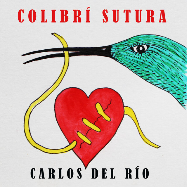 Colibrí Sutura