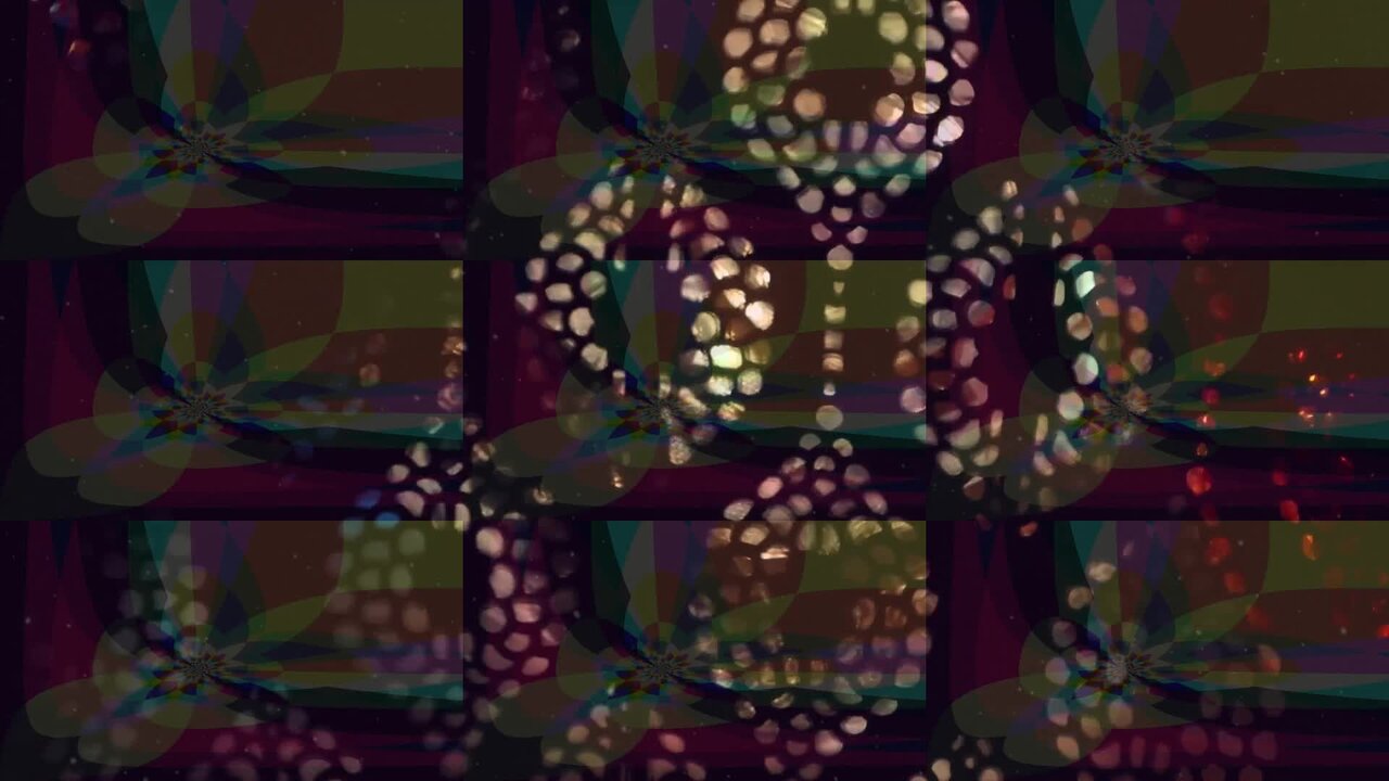 	Numnber One 