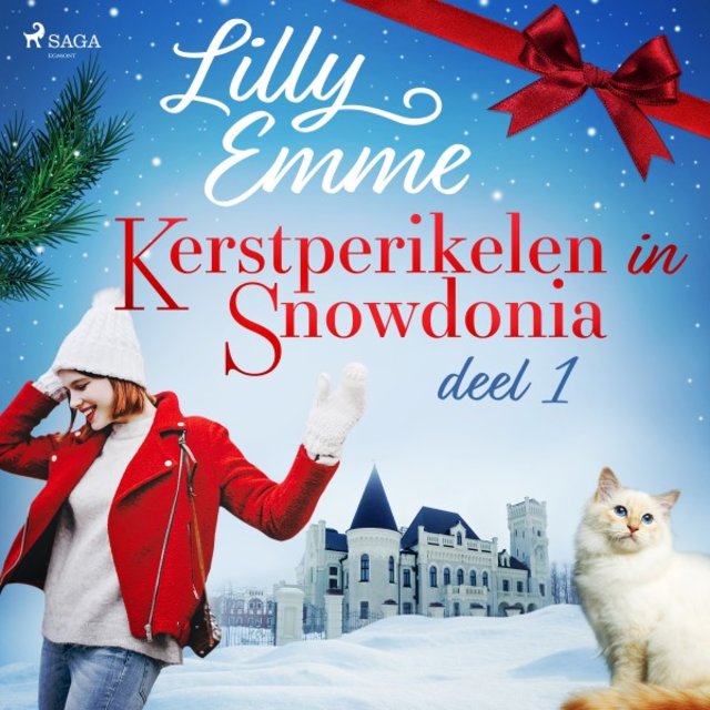 Kerstperikelen in Snowdonia - Deel 1