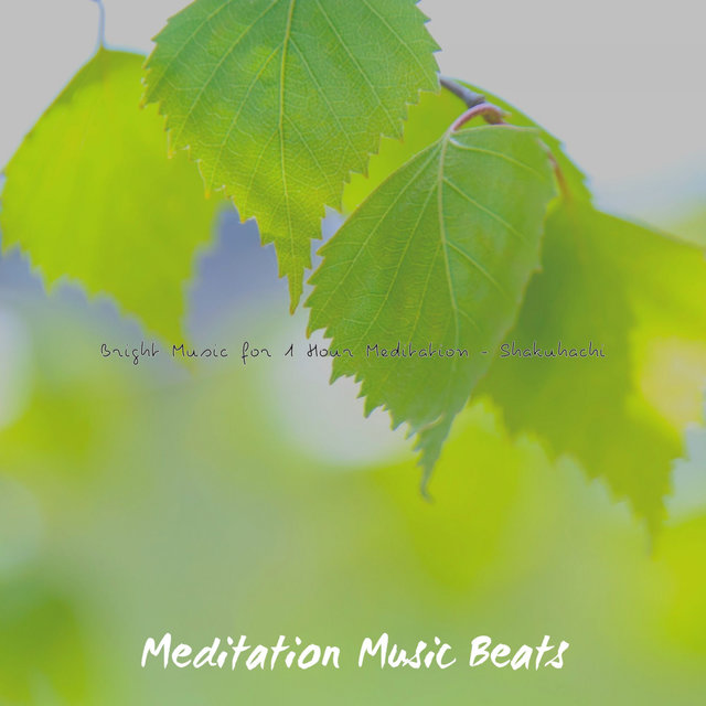Bright Music for 1 Hour Meditation - Shakuhachi