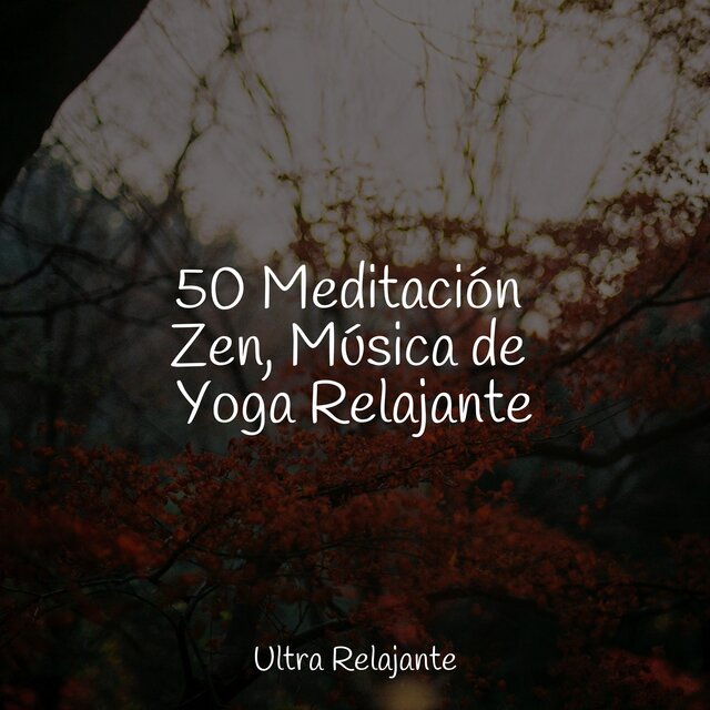 50 Meditación Zen, Música de Yoga Relajante