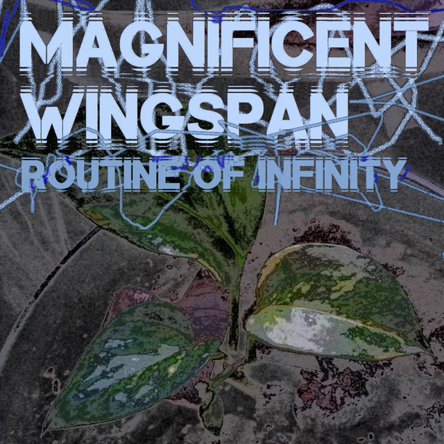 Routine of Infinity