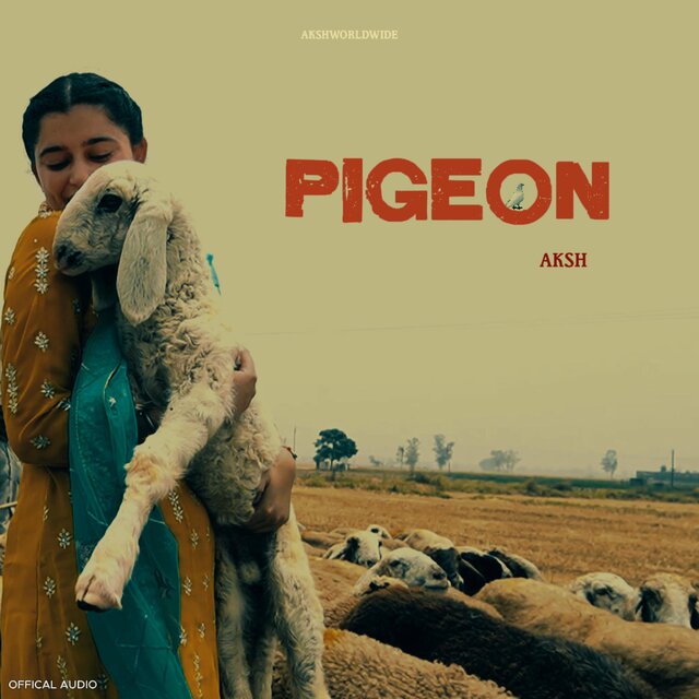 PIGEON