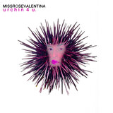 urchin 4 u.