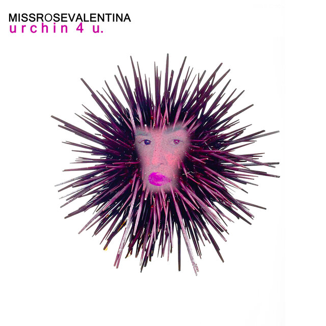 urchin 4 u.