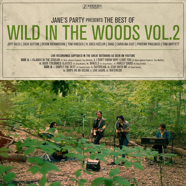 The Best of Wild In the Woods Vol.2