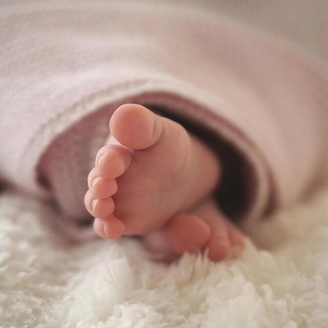 Baby's Favorite Lullaby Vol.2