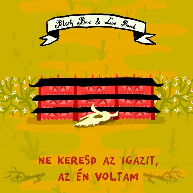 Ne Keresd Az Igazit, Az Én Voltam