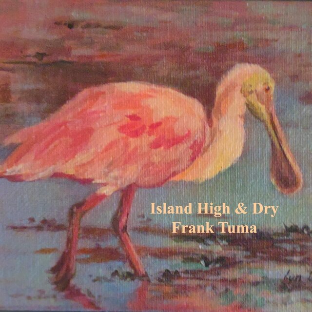 Island High & Dry