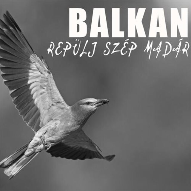 Repülj Szép Madár