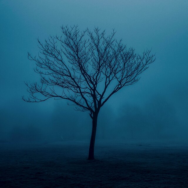 frozen lands