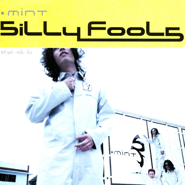 Mint by Silly Fools on TIDAL