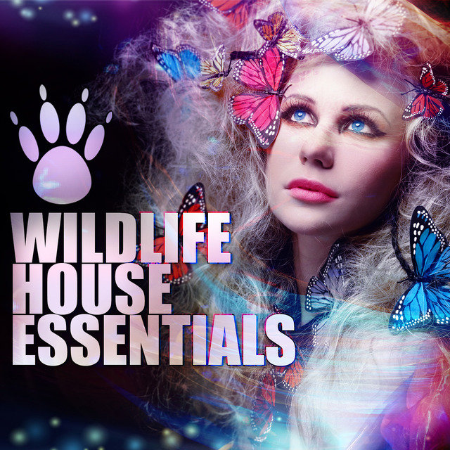 Wildlife House Essentials