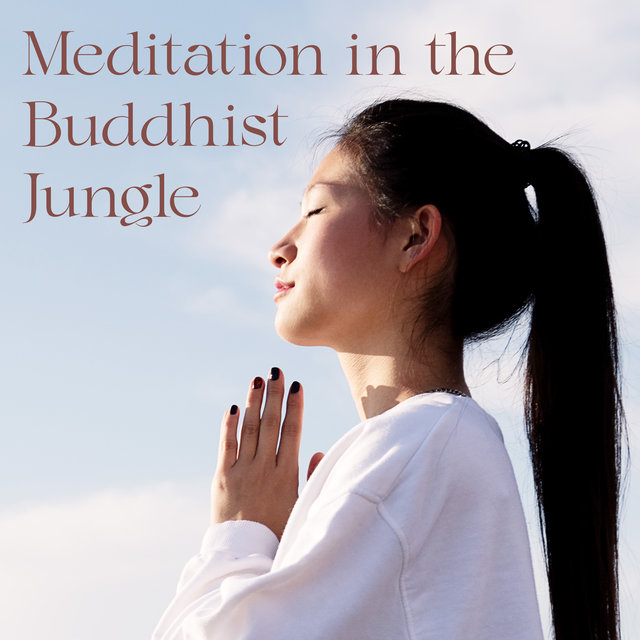 Meditation in the Buddhist Jungle