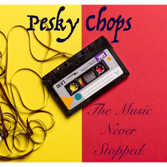 The Music Never Stopped