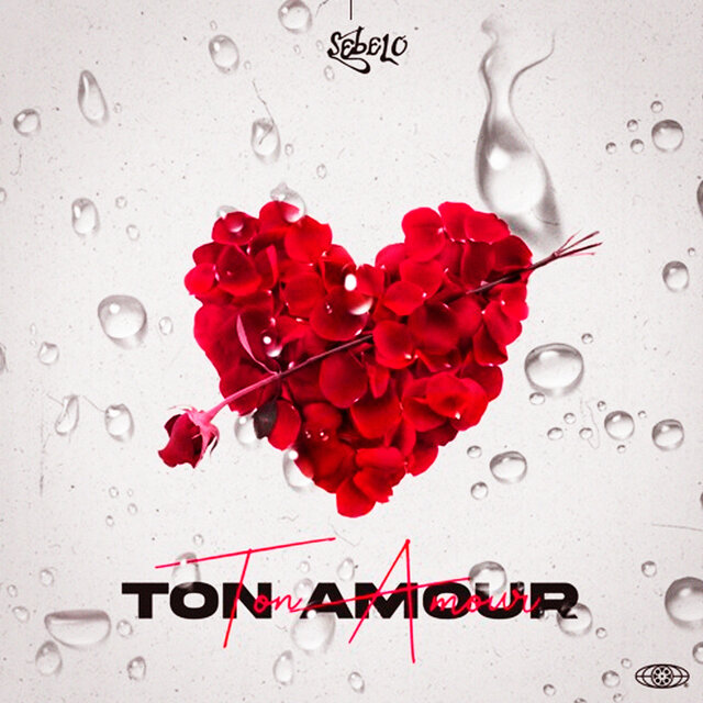 Ton amour