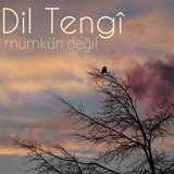 Mümkün Değil