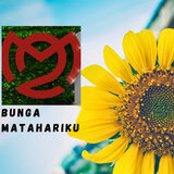 Bunga Matahariku