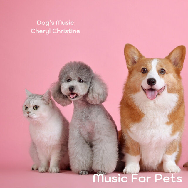 Music For Pets