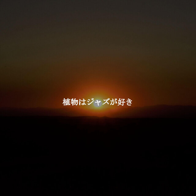 植物はジャズが好き