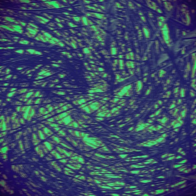 Warp Drive EP